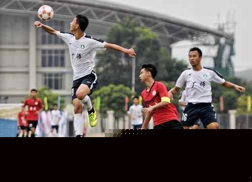 分路改版后不同段数的价值